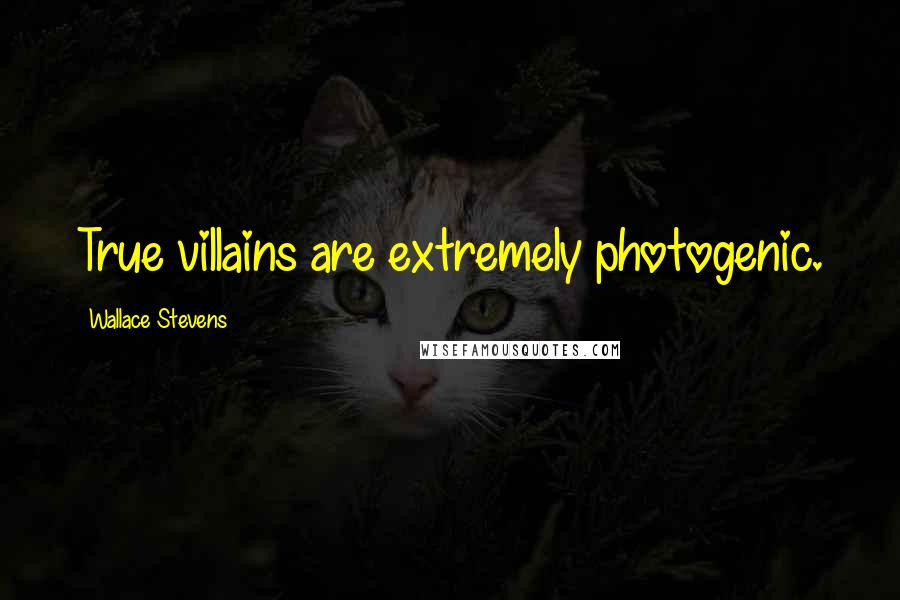 Wallace Stevens Quotes: True villains are extremely photogenic.