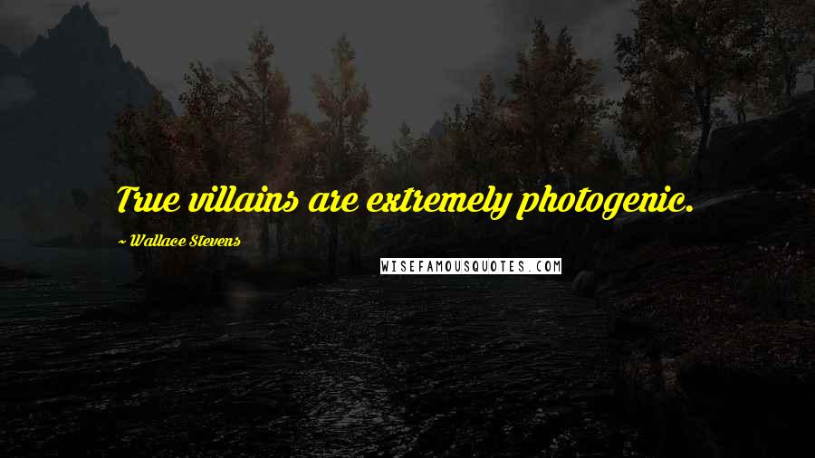 Wallace Stevens Quotes: True villains are extremely photogenic.