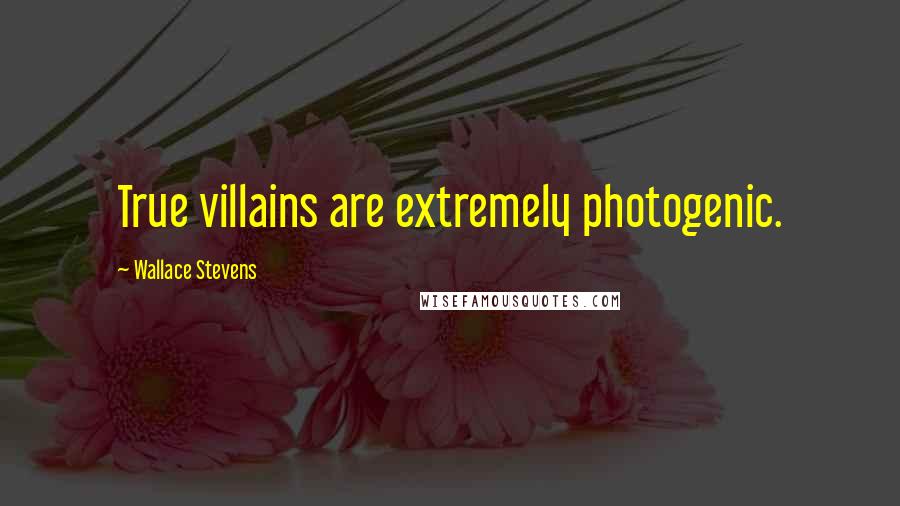 Wallace Stevens Quotes: True villains are extremely photogenic.