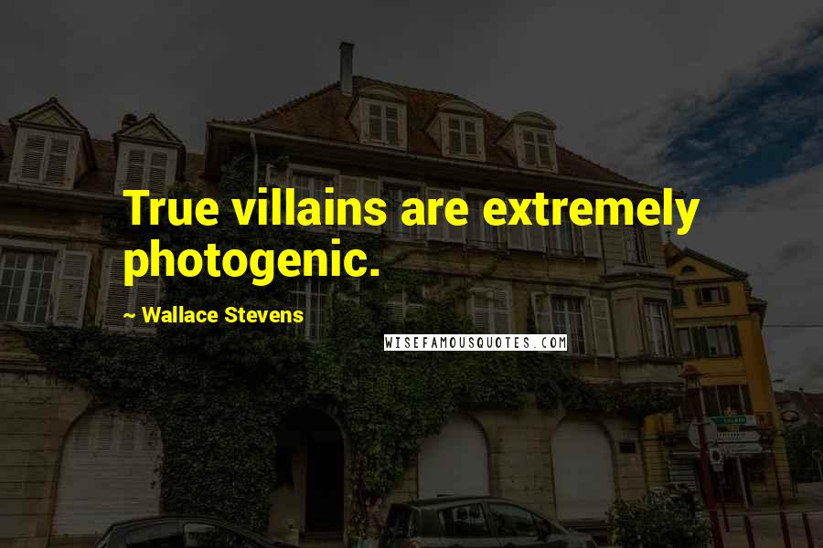 Wallace Stevens Quotes: True villains are extremely photogenic.