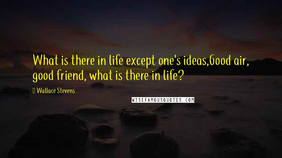 Wallace Stevens Quotes: What is there in life except one's ideas,Good air, good friend, what is there in life?