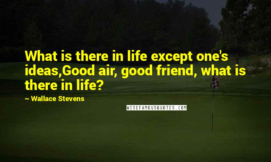 Wallace Stevens Quotes: What is there in life except one's ideas,Good air, good friend, what is there in life?