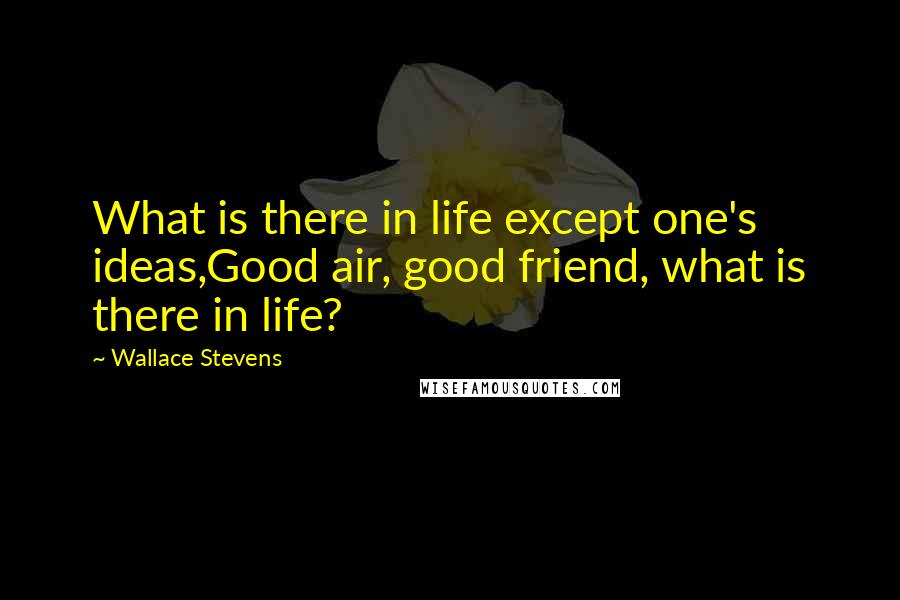 Wallace Stevens Quotes: What is there in life except one's ideas,Good air, good friend, what is there in life?