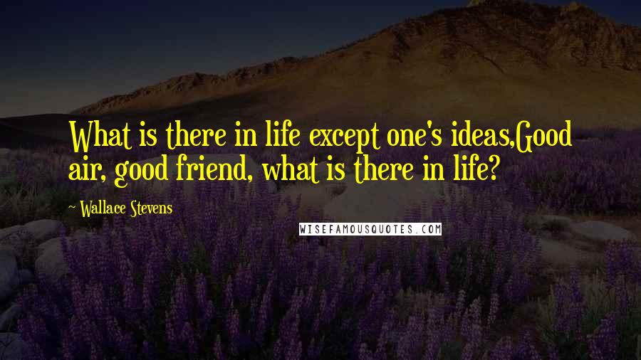Wallace Stevens Quotes: What is there in life except one's ideas,Good air, good friend, what is there in life?