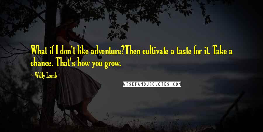 Wally Lamb Quotes: What if I don't like adventure?Then cultivate a taste for it. Take a chance. That's how you grow.