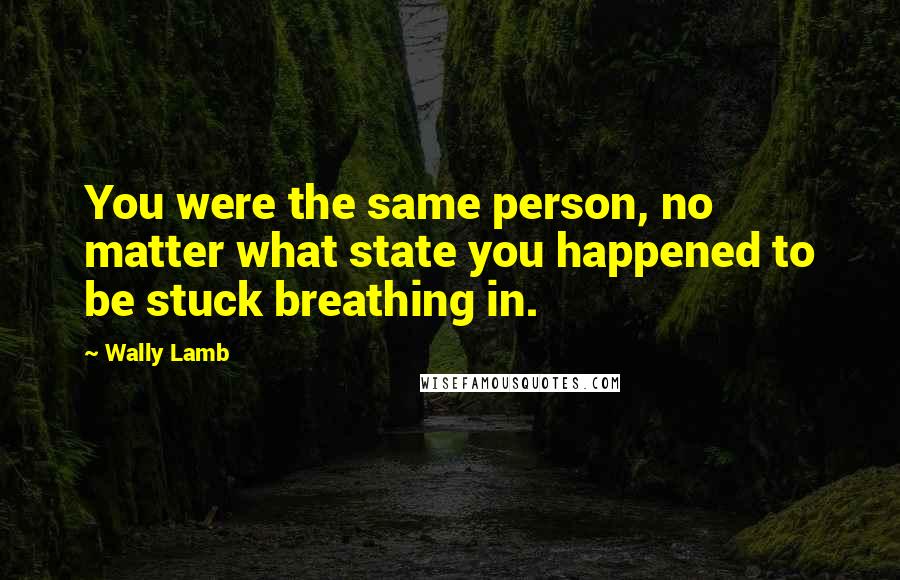 Wally Lamb Quotes: You were the same person, no matter what state you happened to be stuck breathing in.