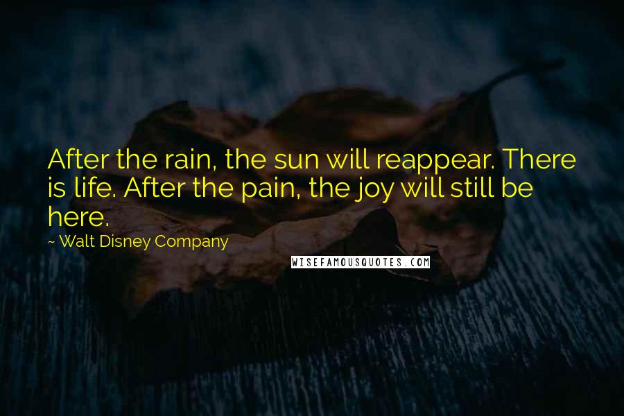 Walt Disney Company Quotes: After the rain, the sun will reappear. There is life. After the pain, the joy will still be here.