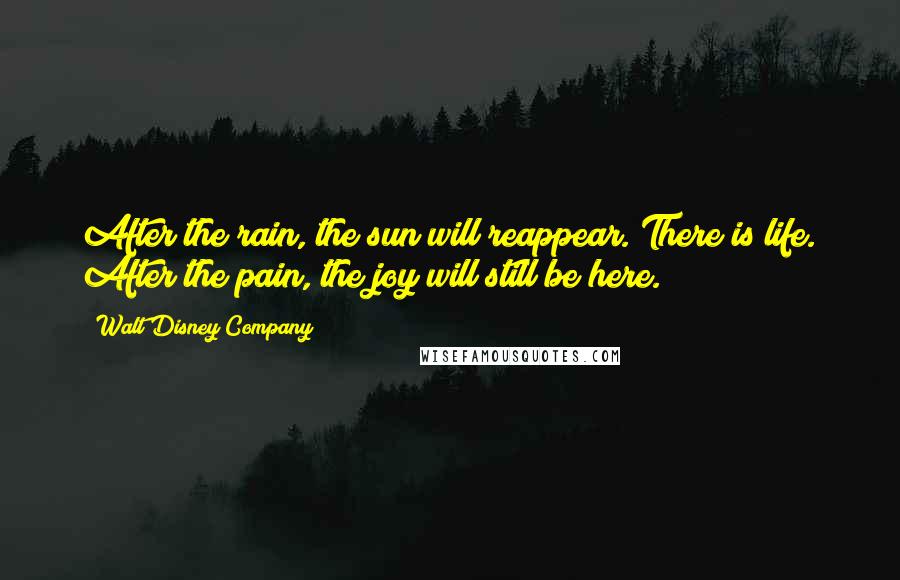 Walt Disney Company Quotes: After the rain, the sun will reappear. There is life. After the pain, the joy will still be here.