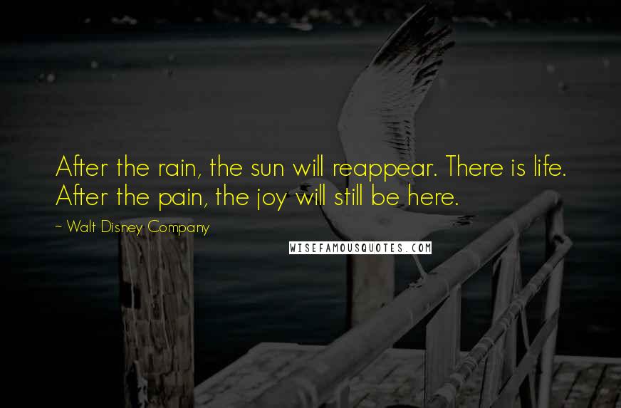 Walt Disney Company Quotes: After the rain, the sun will reappear. There is life. After the pain, the joy will still be here.