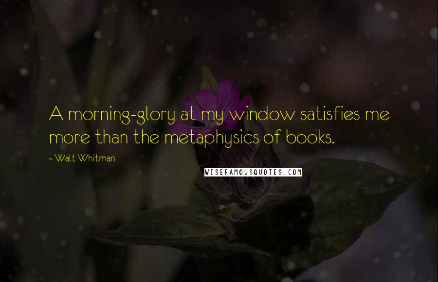 Walt Whitman Quotes: A morning-glory at my window satisfies me more than the metaphysics of books.