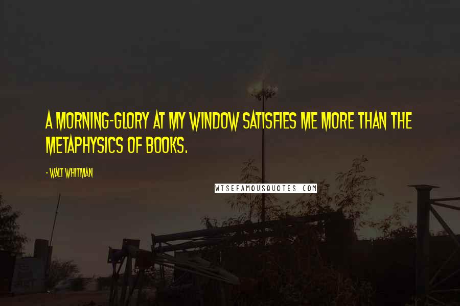Walt Whitman Quotes: A morning-glory at my window satisfies me more than the metaphysics of books.