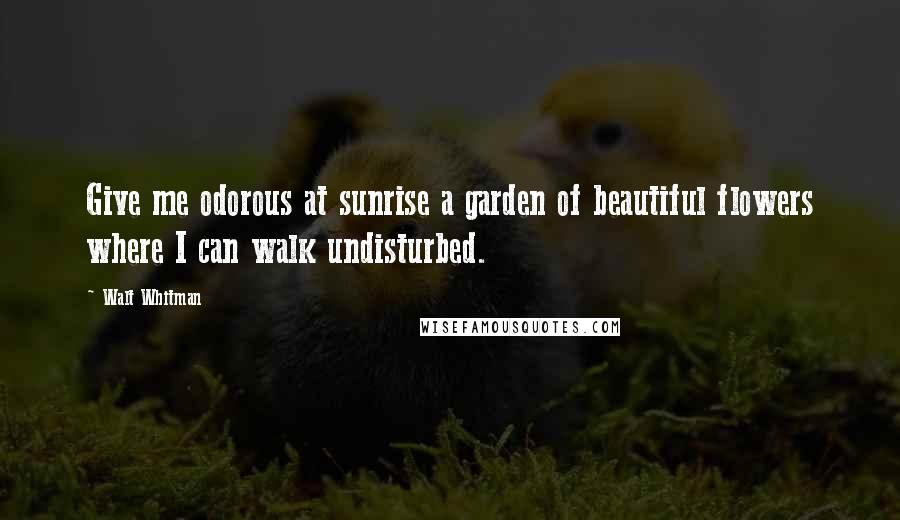 Walt Whitman Quotes: Give me odorous at sunrise a garden of beautiful flowers where I can walk undisturbed.