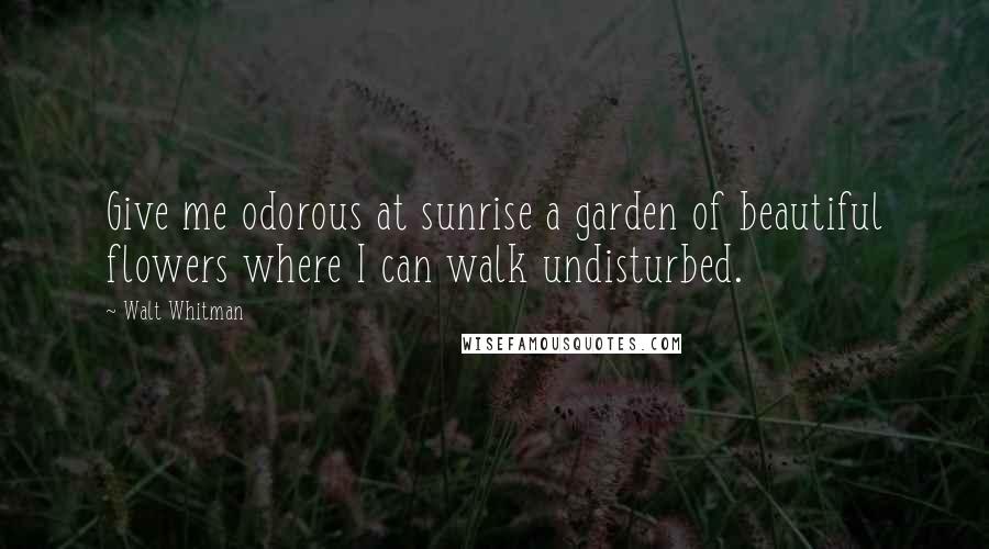 Walt Whitman Quotes: Give me odorous at sunrise a garden of beautiful flowers where I can walk undisturbed.