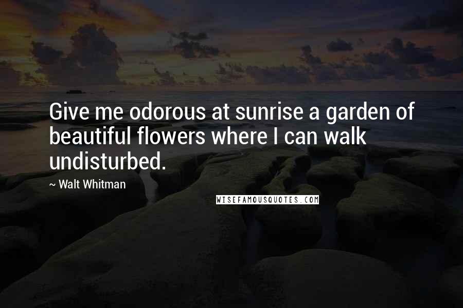 Walt Whitman Quotes: Give me odorous at sunrise a garden of beautiful flowers where I can walk undisturbed.