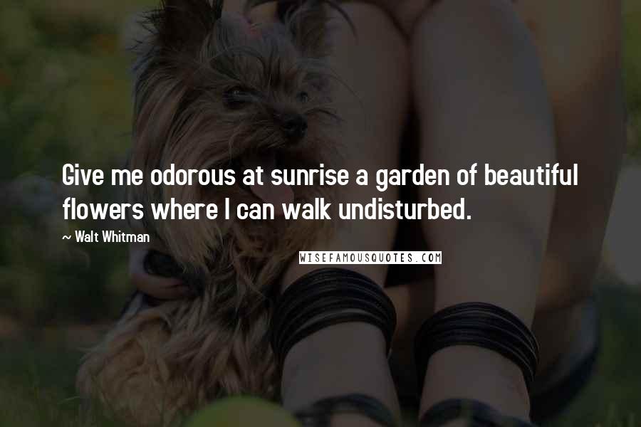 Walt Whitman Quotes: Give me odorous at sunrise a garden of beautiful flowers where I can walk undisturbed.