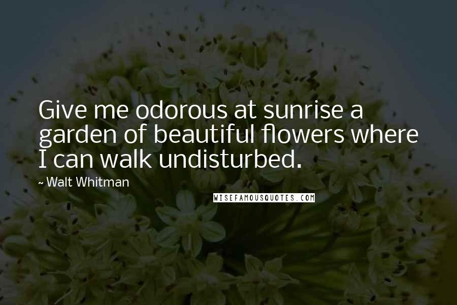 Walt Whitman Quotes: Give me odorous at sunrise a garden of beautiful flowers where I can walk undisturbed.