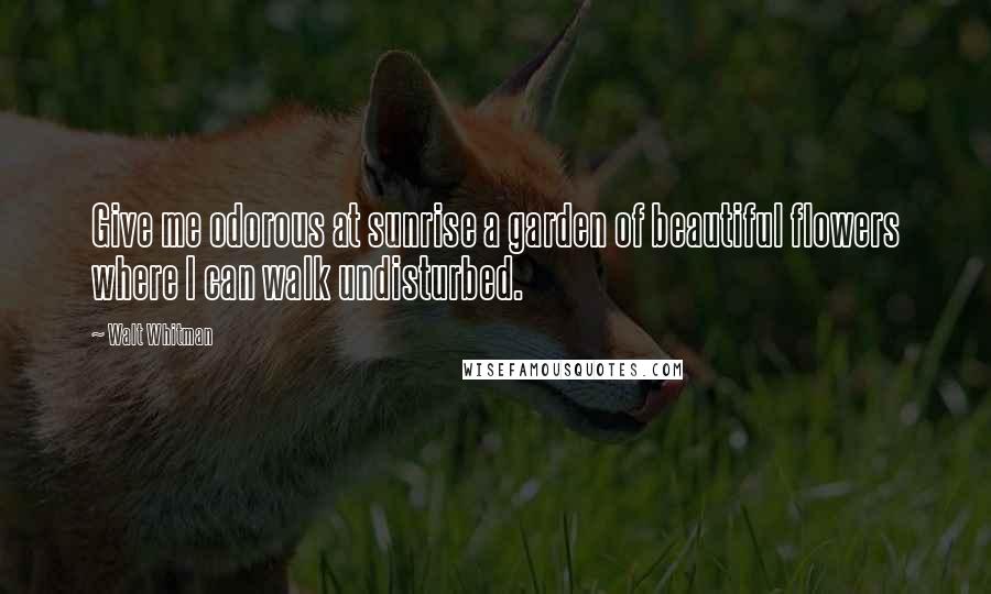 Walt Whitman Quotes: Give me odorous at sunrise a garden of beautiful flowers where I can walk undisturbed.