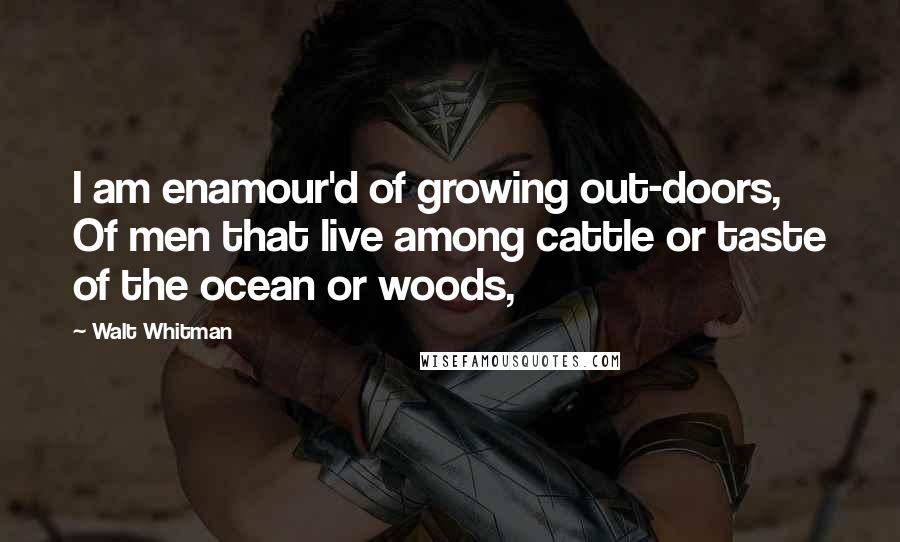 Walt Whitman Quotes: I am enamour'd of growing out-doors, Of men that live among cattle or taste of the ocean or woods,