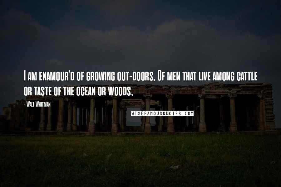 Walt Whitman Quotes: I am enamour'd of growing out-doors, Of men that live among cattle or taste of the ocean or woods,