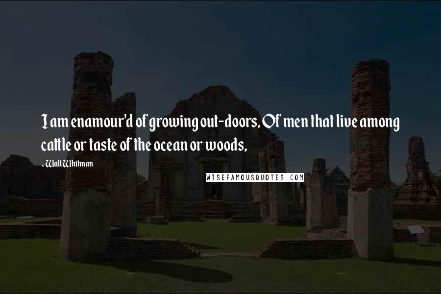 Walt Whitman Quotes: I am enamour'd of growing out-doors, Of men that live among cattle or taste of the ocean or woods,