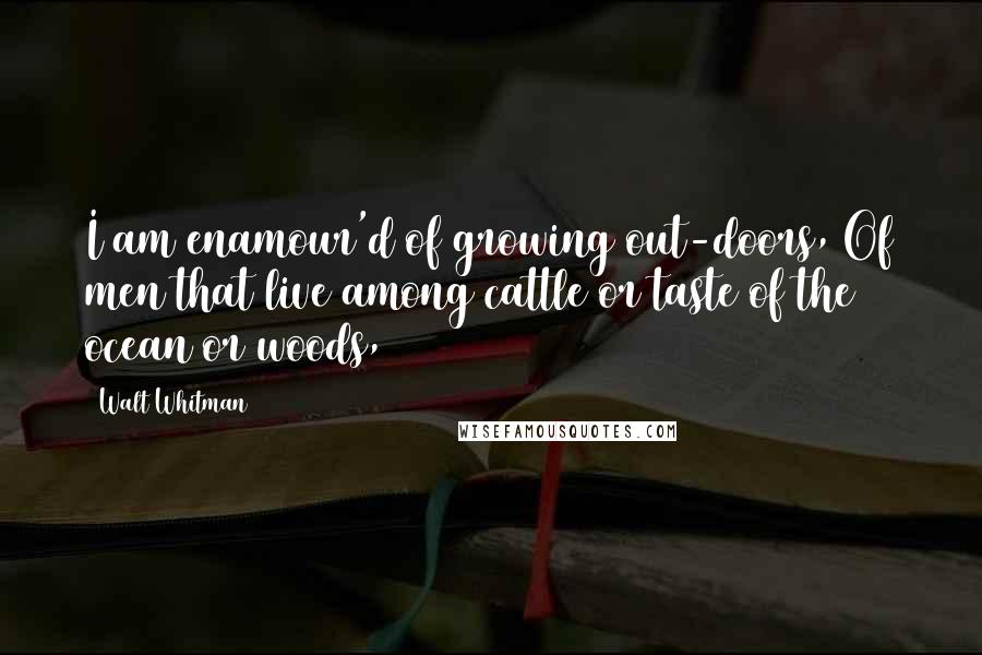 Walt Whitman Quotes: I am enamour'd of growing out-doors, Of men that live among cattle or taste of the ocean or woods,