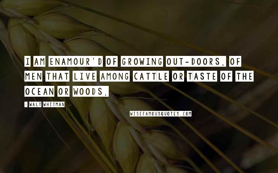 Walt Whitman Quotes: I am enamour'd of growing out-doors, Of men that live among cattle or taste of the ocean or woods,