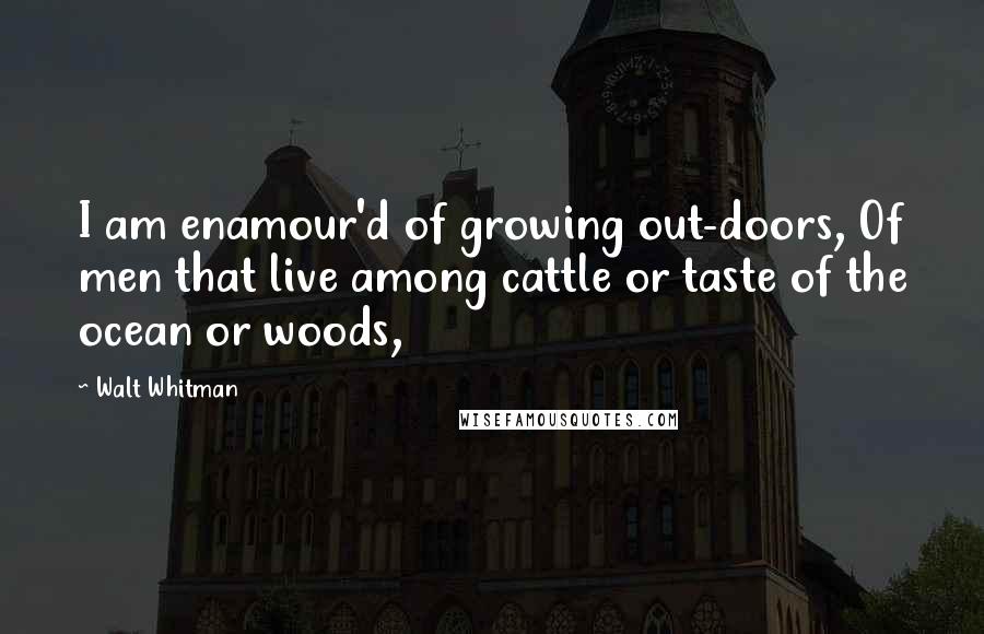 Walt Whitman Quotes: I am enamour'd of growing out-doors, Of men that live among cattle or taste of the ocean or woods,