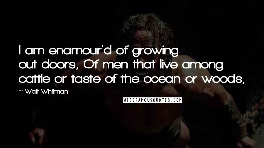 Walt Whitman Quotes: I am enamour'd of growing out-doors, Of men that live among cattle or taste of the ocean or woods,