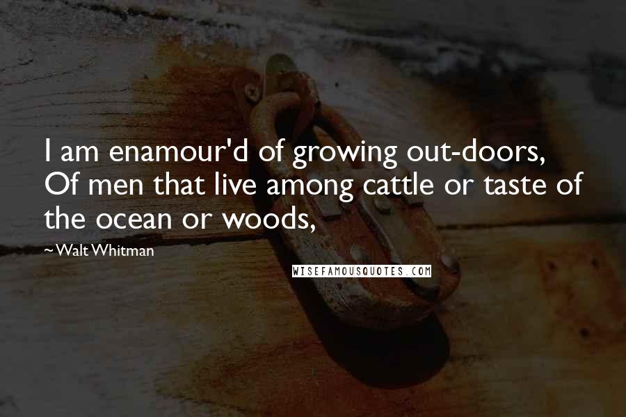 Walt Whitman Quotes: I am enamour'd of growing out-doors, Of men that live among cattle or taste of the ocean or woods,