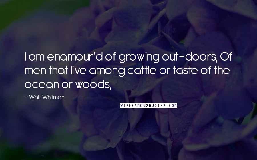 Walt Whitman Quotes: I am enamour'd of growing out-doors, Of men that live among cattle or taste of the ocean or woods,