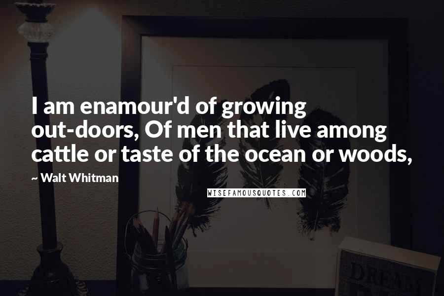 Walt Whitman Quotes: I am enamour'd of growing out-doors, Of men that live among cattle or taste of the ocean or woods,