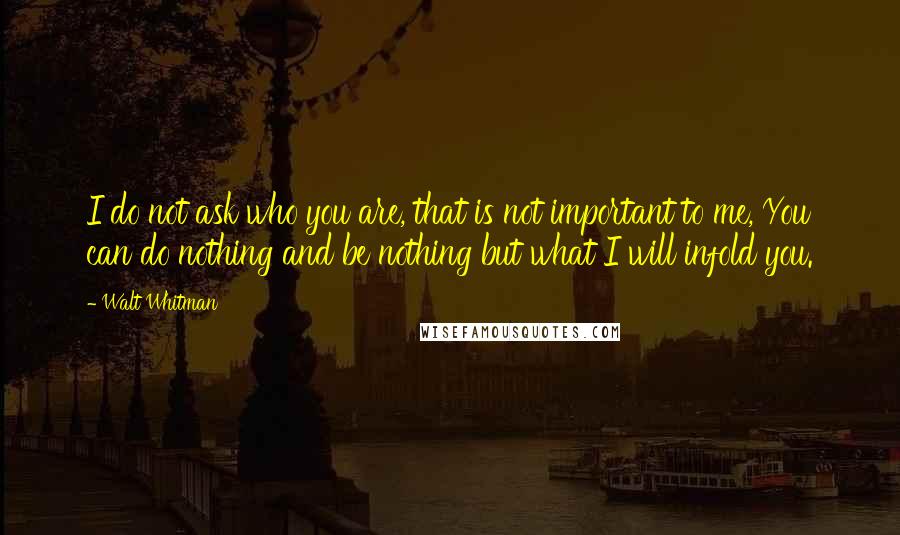 Walt Whitman Quotes: I do not ask who you are, that is not important to me, You can do nothing and be nothing but what I will infold you.