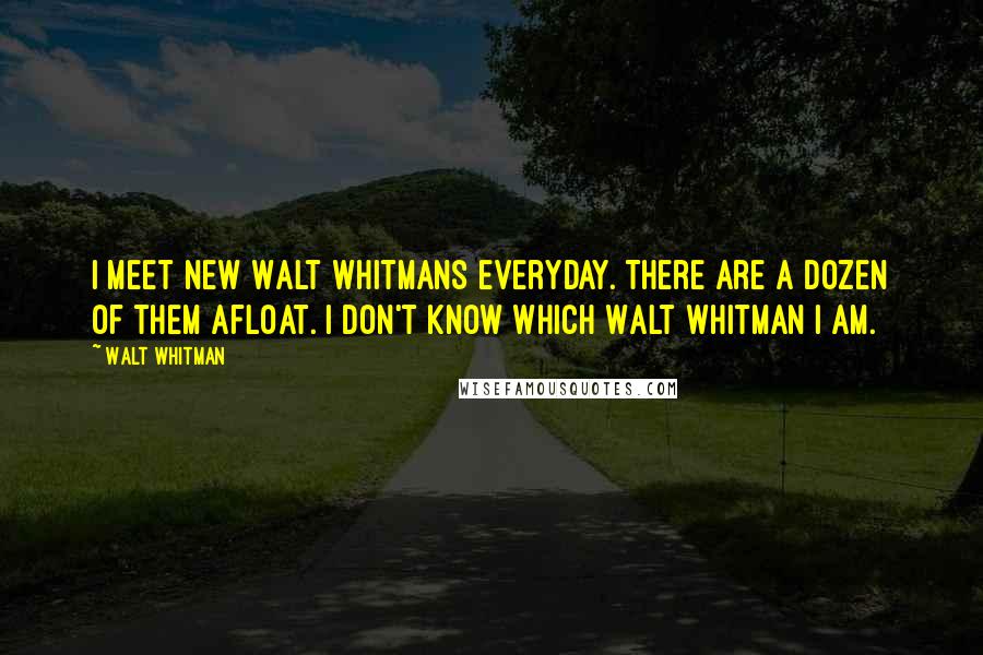 Walt Whitman Quotes: I meet new Walt Whitmans everyday. There are a dozen of them afloat. I don't know which Walt Whitman I am.