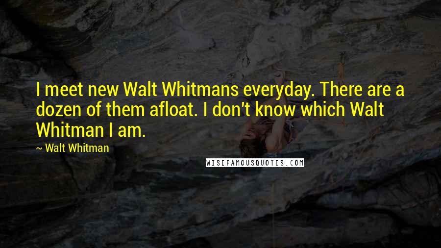 Walt Whitman Quotes: I meet new Walt Whitmans everyday. There are a dozen of them afloat. I don't know which Walt Whitman I am.