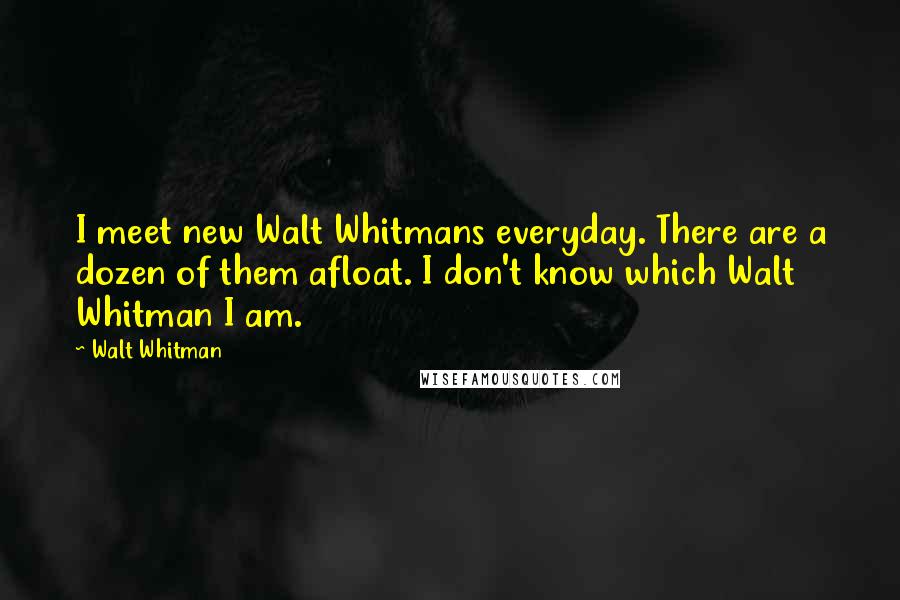 Walt Whitman Quotes: I meet new Walt Whitmans everyday. There are a dozen of them afloat. I don't know which Walt Whitman I am.