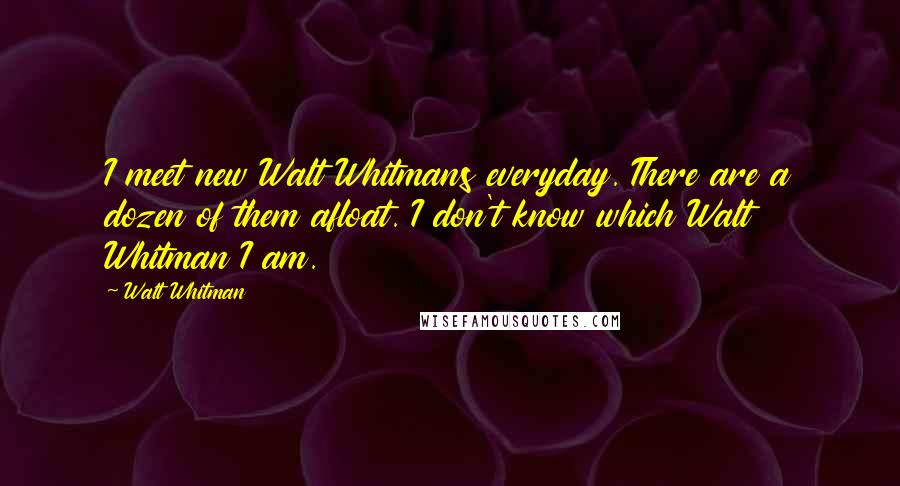 Walt Whitman Quotes: I meet new Walt Whitmans everyday. There are a dozen of them afloat. I don't know which Walt Whitman I am.