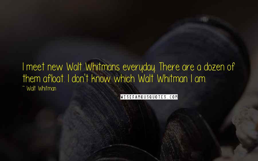 Walt Whitman Quotes: I meet new Walt Whitmans everyday. There are a dozen of them afloat. I don't know which Walt Whitman I am.