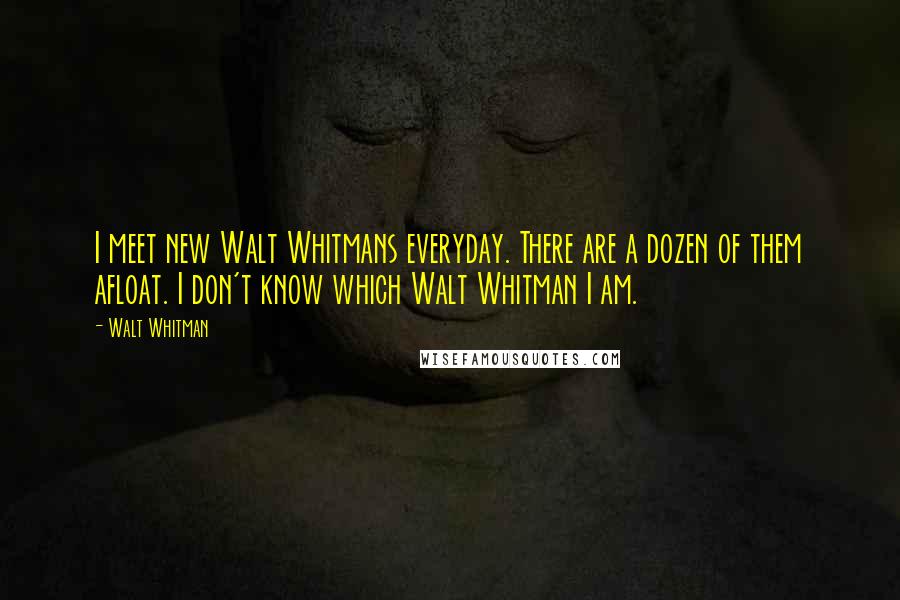 Walt Whitman Quotes: I meet new Walt Whitmans everyday. There are a dozen of them afloat. I don't know which Walt Whitman I am.