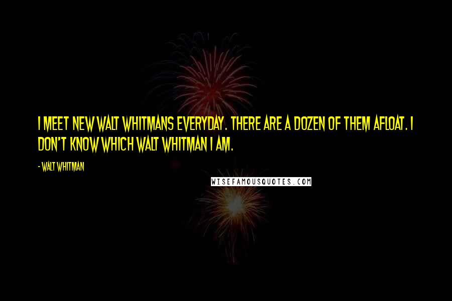 Walt Whitman Quotes: I meet new Walt Whitmans everyday. There are a dozen of them afloat. I don't know which Walt Whitman I am.