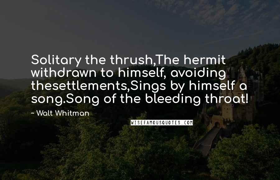 Walt Whitman Quotes: Solitary the thrush,The hermit withdrawn to himself, avoiding thesettlements,Sings by himself a song.Song of the bleeding throat!