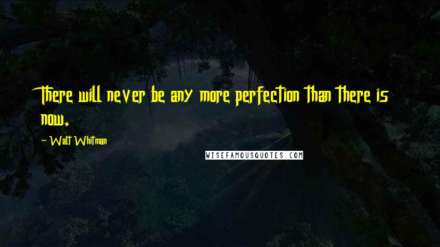 Walt Whitman Quotes: There will never be any more perfection than there is now.