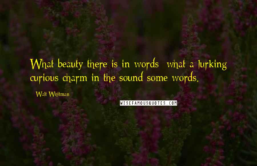 Walt Whitman Quotes: What beauty there is in words; what a lurking curious charm in the sound some words.