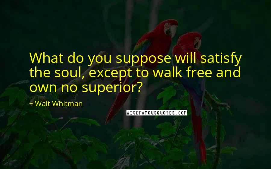 Walt Whitman Quotes: What do you suppose will satisfy the soul, except to walk free and own no superior?
