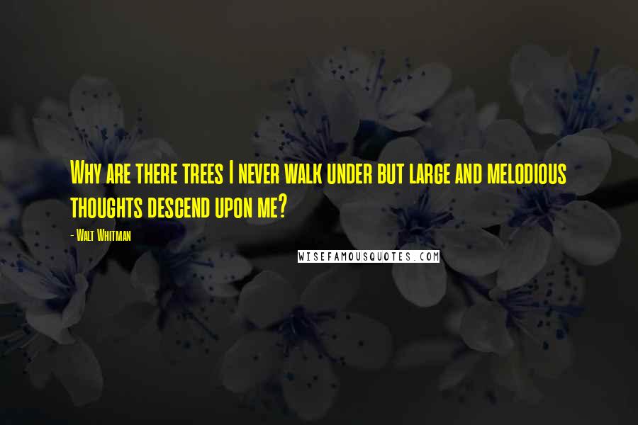 Walt Whitman Quotes: Why are there trees I never walk under but large and melodious thoughts descend upon me?