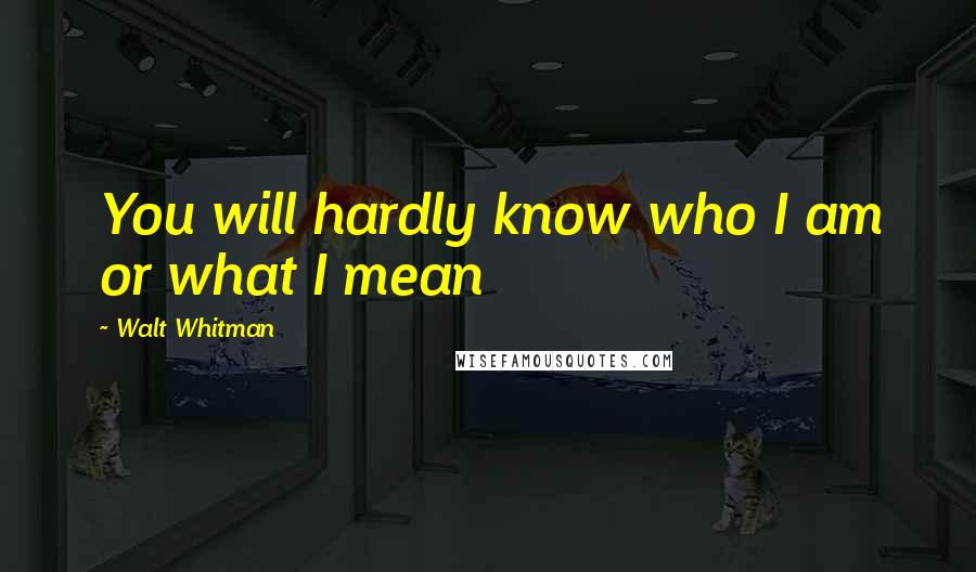 Walt Whitman Quotes: You will hardly know who I am or what I mean