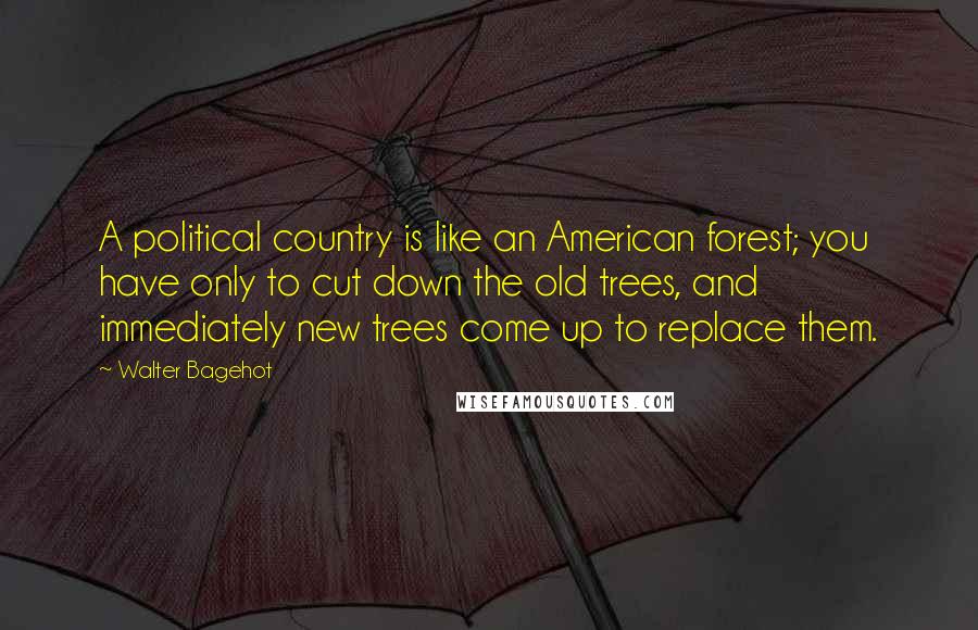 Walter Bagehot Quotes: A political country is like an American forest; you have only to cut down the old trees, and immediately new trees come up to replace them.