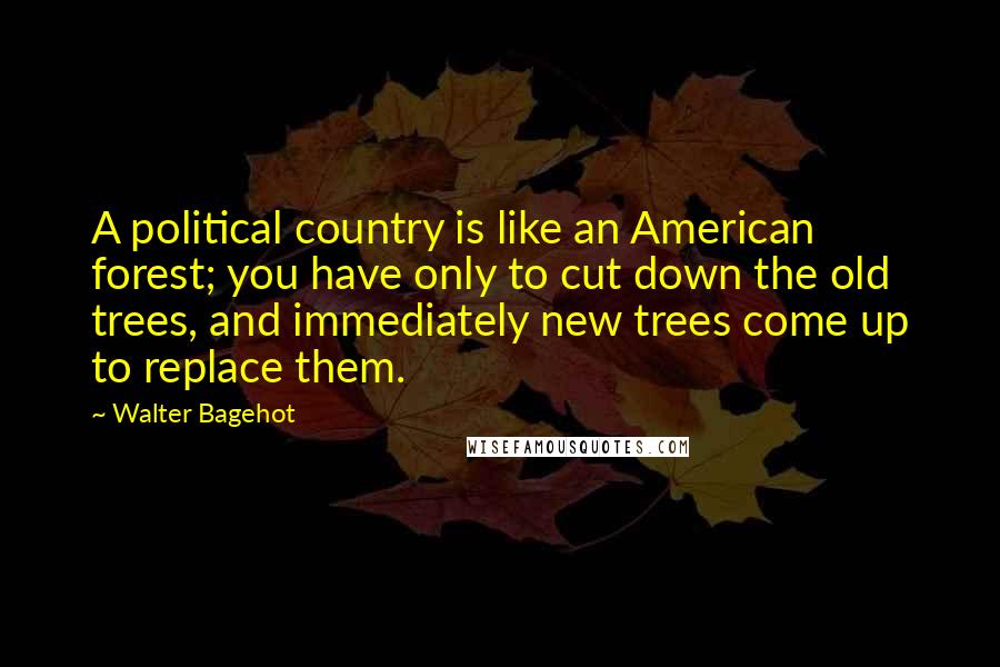 Walter Bagehot Quotes: A political country is like an American forest; you have only to cut down the old trees, and immediately new trees come up to replace them.