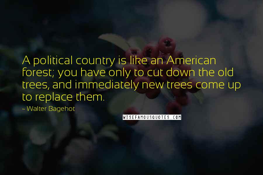 Walter Bagehot Quotes: A political country is like an American forest; you have only to cut down the old trees, and immediately new trees come up to replace them.