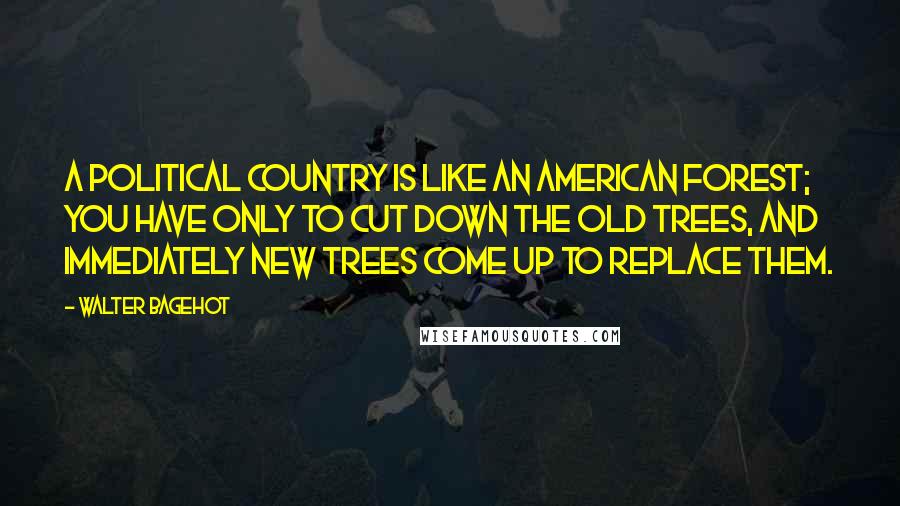 Walter Bagehot Quotes: A political country is like an American forest; you have only to cut down the old trees, and immediately new trees come up to replace them.