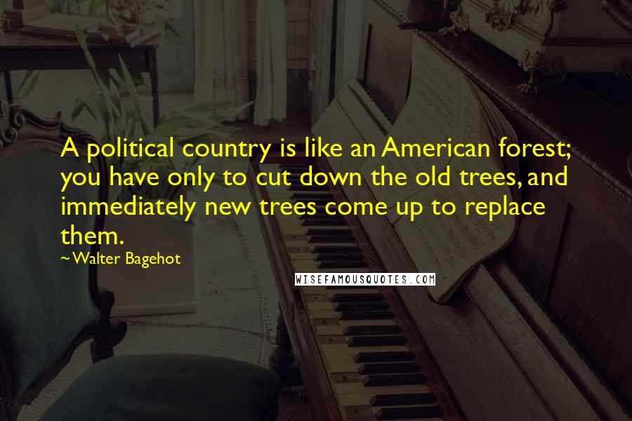 Walter Bagehot Quotes: A political country is like an American forest; you have only to cut down the old trees, and immediately new trees come up to replace them.